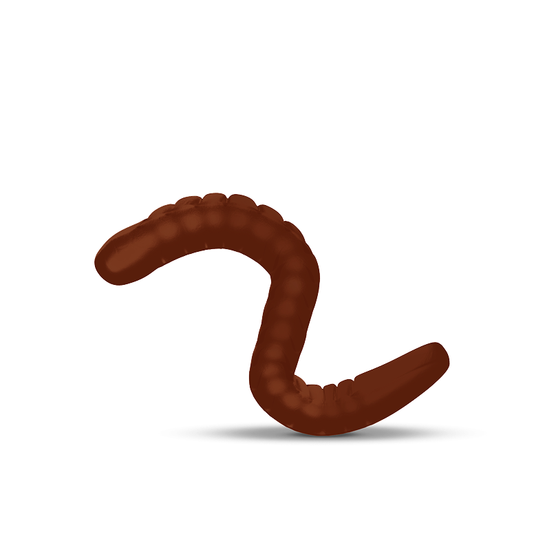 Choco Worm