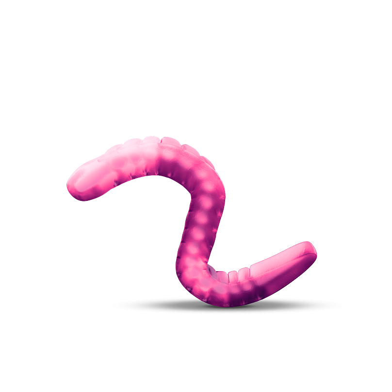 Cute Little Worm